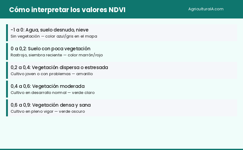 Infografía: cómo interpretar los valores NDVI en tus cultivos — AgriculturaIA.com