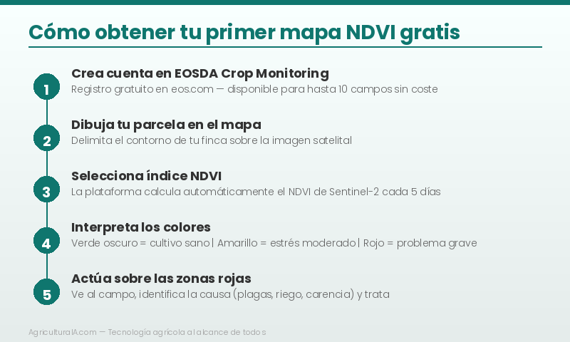 Tutorial: cómo obtener tu primer mapa NDVI gratis