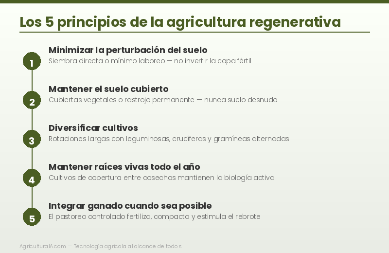 Infografía: los 5 principios de la agricultura regenerativa