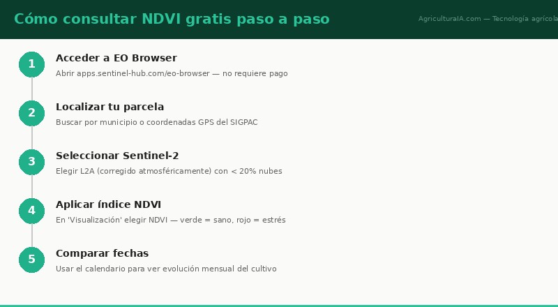 Infografía: Como usar Google Earth y NDVI gratuito para monitorear tus cultivos