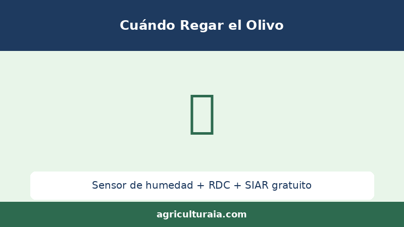 Sensor de humedad del suelo en olivar
