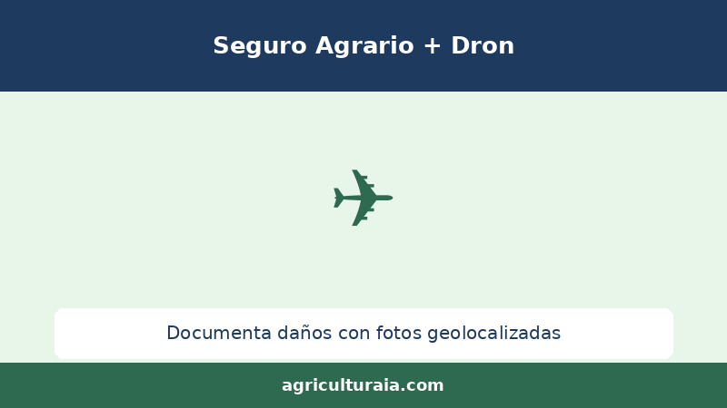 Dron documentando daños en cultivo para el seguro agrario